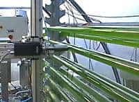 Automatitzat de neteja per ultrasons de bioreactors de