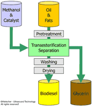 Gráfico que muestra el proceso de producción de biodiesel.