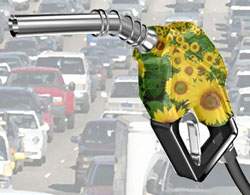 Biodiesel is a renewable environmentally friendly fuel. Adding biodiesel to conventional diesel improves the environmental balance.