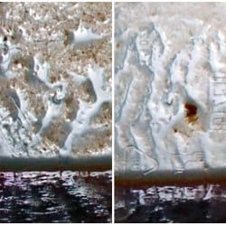 vegetable sauce before and after sonication