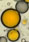 Ultrasonic reactors increase biodiesel yield and processing effiency!