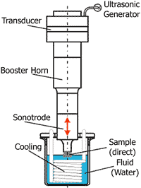 Ultrasonic processor - also known as sonicator - with specimen for cavitation erosion test ind accordance to ASTM G32