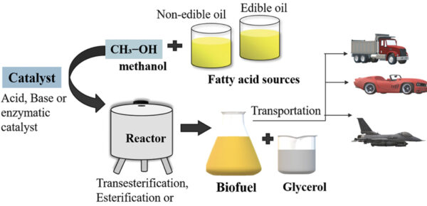 น้ำมันปรุงอาหารที่ใช้แล้วและไขมันเหลือใช้มีกรดไขมันอิสระ (FFAs) ในปริมาณสูง การเอสเทอริฟิเคชันด้วยคลื่นเสียงความถี่สูงเปลี่ยนกรดไขมันอิสระให้เป็นเอสเตอร์ของกรดไขมันกับแอลคิล