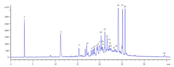 Ultraljud extraktion med UP400S gav ett fullspektrum extrakt som innehåller ett högt utbyte av många fenoliska föreningar.