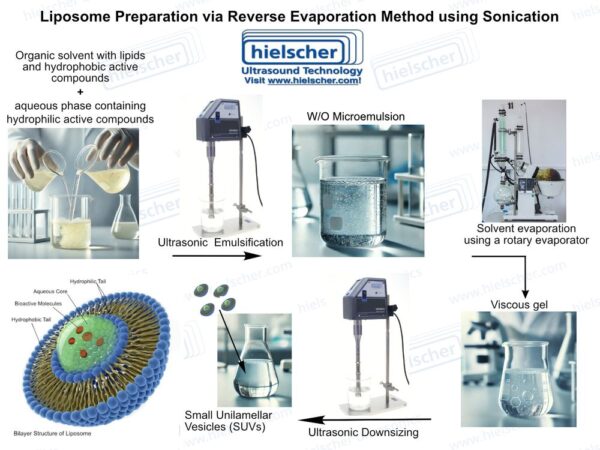 A fordított párolgási módszer a liposzómaképződés népszerű technikája. A fordított párolgási módszer szonikálást igényel a szerves oldószer és a vizes fázis emulgeálására, valamint az azt követő liposzóma csökkentésére.