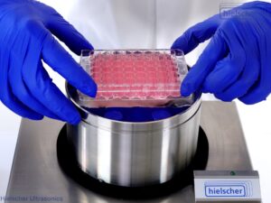 માઇક્રોપ્લેટ સોનિકેટર UIP400MTP સાથે ઉચ્ચ-થ્રુપુટ પર પ્રોટીન પેલેટ દ્રાવ્યીકરણ