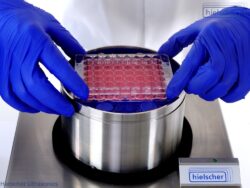 De multi-well plaat sonicators UIP250MTP, UIP400MTP en UIP550MTP maken high-throughput sonicatie van monsters mogelijk in elke standaard 96-well of ELISA plaat.