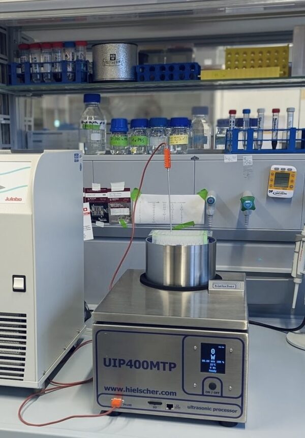 Les sonicateurs Hielscher pour plaques multipuits permettent une lyse fiable des cellules de levure à haut débit