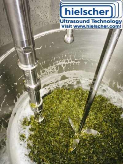 Ultasonik intensivləşdirilmiş ekstraksiya botanika ekstraktlarının nisbətlərinin və məhsuldarlığının əhəmiyyətli dərəcədə artması ilə nəticələnir.