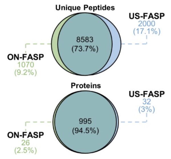 Ultratovush FASP va an'anaviy FASP yordamida aniqlangan oqsillarni ko'rsatuvchi Venn diagrammasi. Rasm va tadqiqot: ©Carvalho va boshqalar, 2020