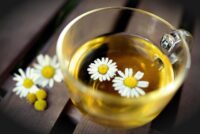 La sonication est une technique non thermique efficace pour préparer des extraits de camomille