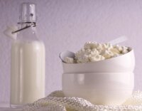 Përpunimi i përmirësuar me ultratinguj përshpejton ripërpunimin e qumështit. Kjo e bën sonikimi një teknikë intensifikimi të procesit për përpunimin e produkteve të qumështit.