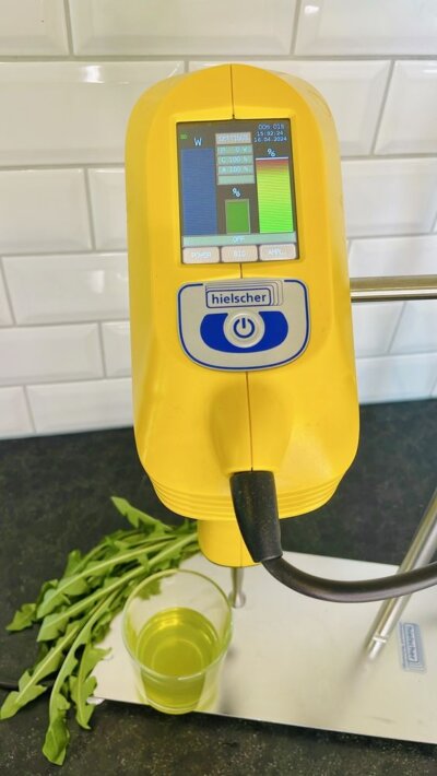Sonicator UP200Ht untuk ekstraksi dengan air dingin, misalnya ekstraksi polifenol dari daun oregano
